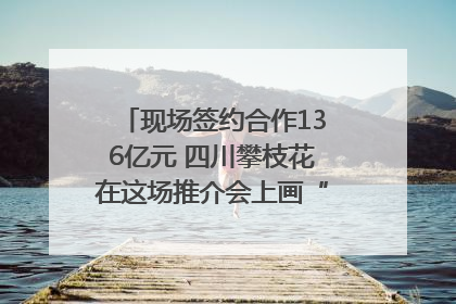 现场签约合作136亿元 四川攀枝花在这场推介会上画“图谱”列“清单”